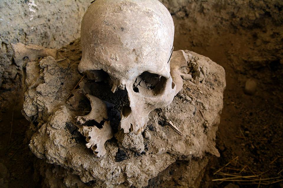 3000-year-old script discovered in Georgia to change world’s history of writing geotv.ge